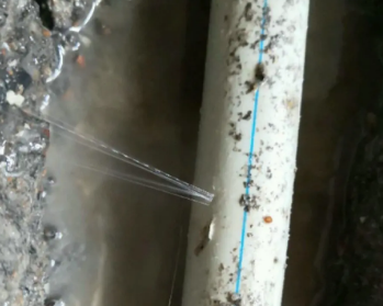 肃宁卫生间测漏水多少钱